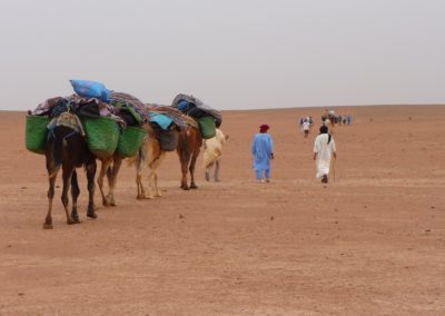La caravane
