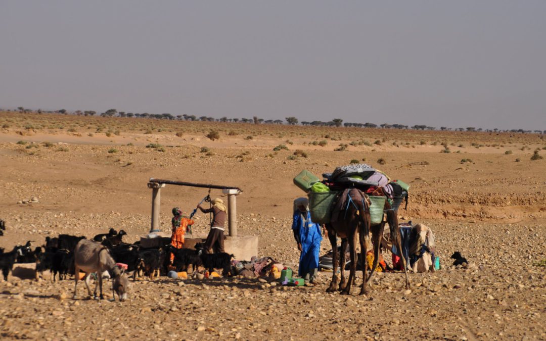 La vie des nomades